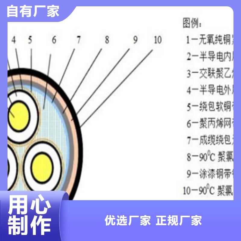 定安县MYP矿用橡套电缆4X50+1X25