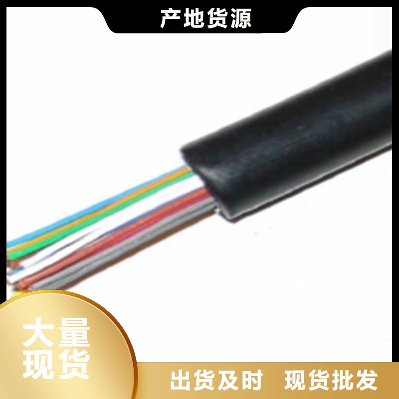 通信电缆屏蔽电缆自有厂家