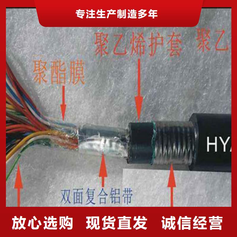 STP-120镀锡通讯电缆信赖推荐