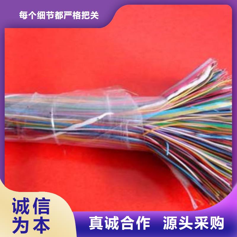 ZRA-HSGWPP222X5L阻燃网线2对0.75