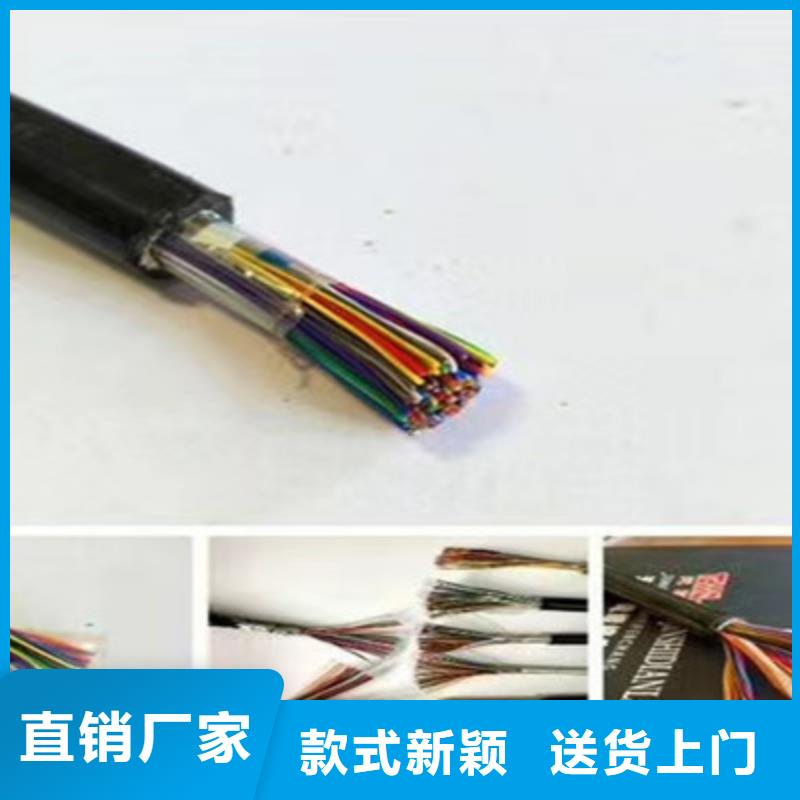 1419A通讯电缆1对1.5