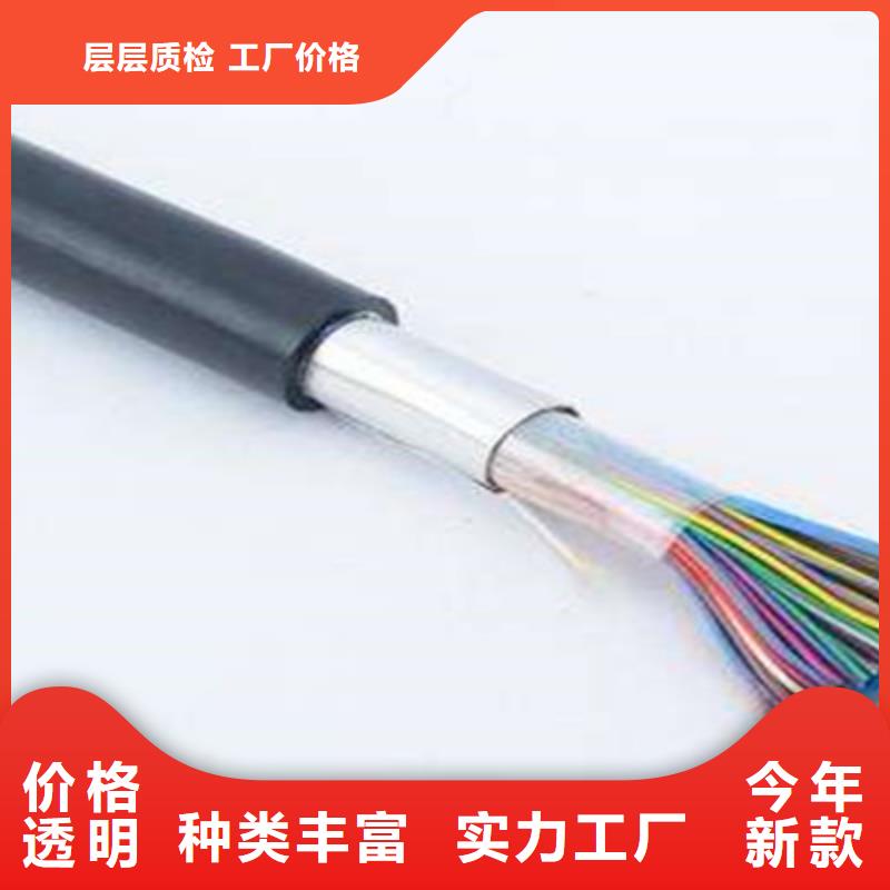 ZR-FB-HPVP阻燃通讯电缆6对0.4