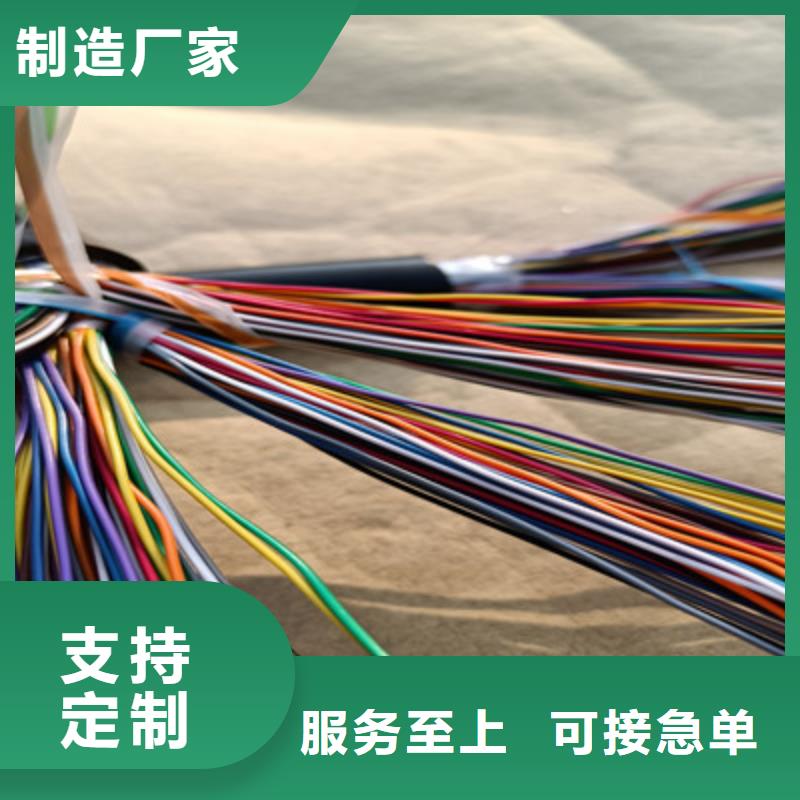 屏蔽通讯线缆CC-LINK2对0.3