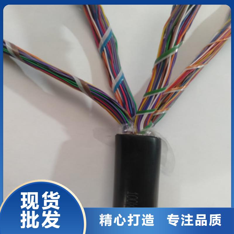 CAN-DW-RS485/92特种电缆推荐厂家