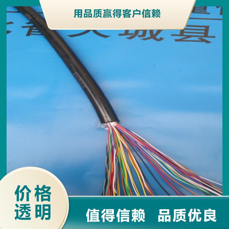CC-LINKFANC-SB紫色通讯电缆供应