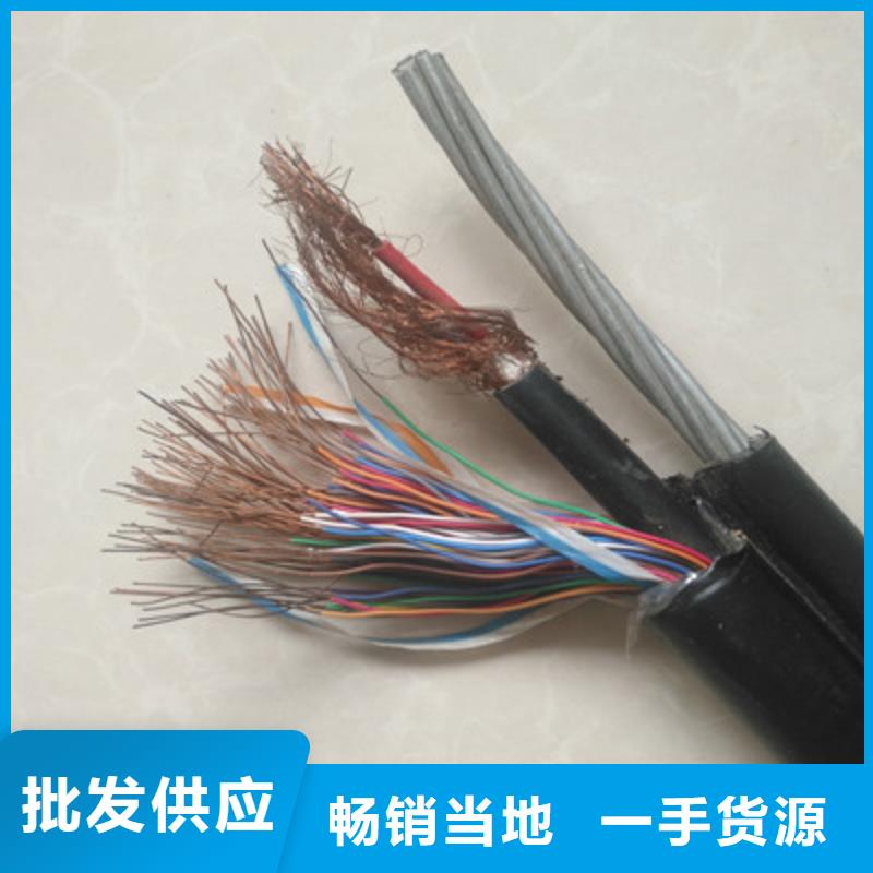 ZRA-HSGWPP22铠装网线2X5L3X1.5