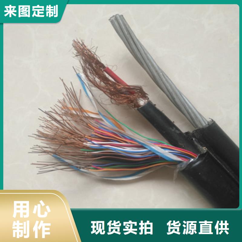 BVVSP软芯双绞电缆1对0.4
