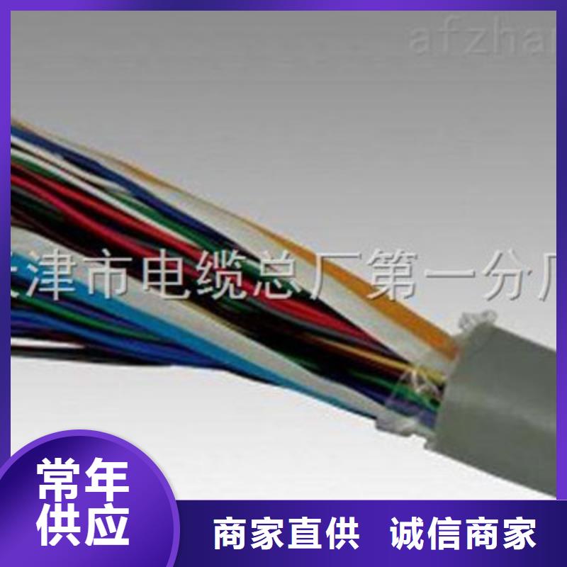 ZRA-HSGWPP22铠装网线2X5L品质优