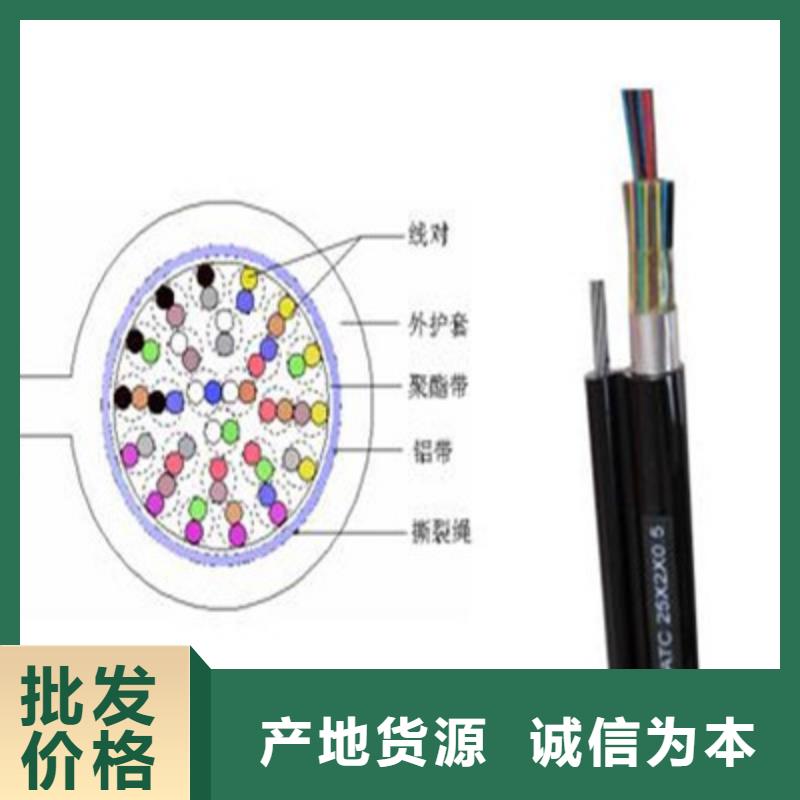 阻燃通讯电缆ZR-FB-HPVP推荐