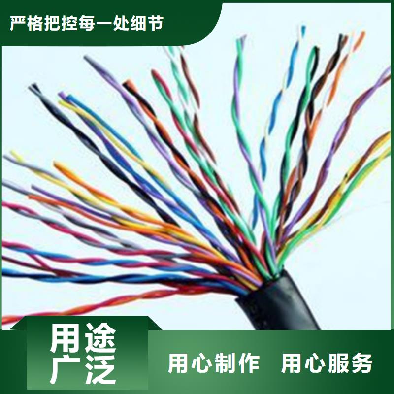 选阻燃计算机电缆ZR-DJYP2V22全国统一价
