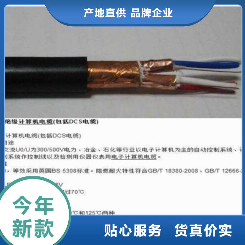 计算机屏蔽电缆KJCRP 12X2X2.5