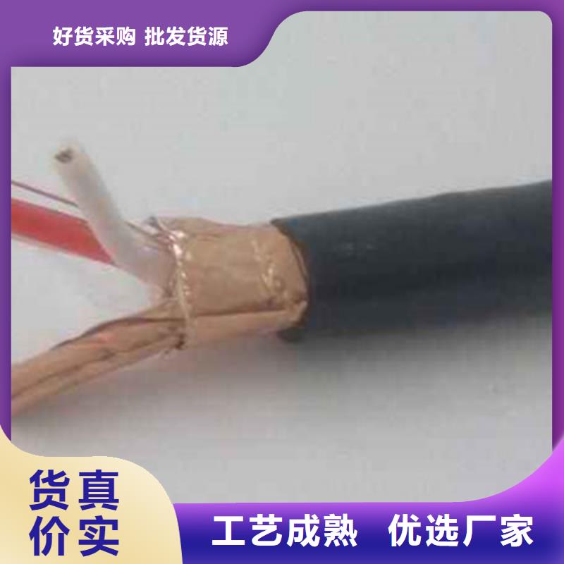 耐火计算机电缆NH-DJYJP2VR12X2X2.5