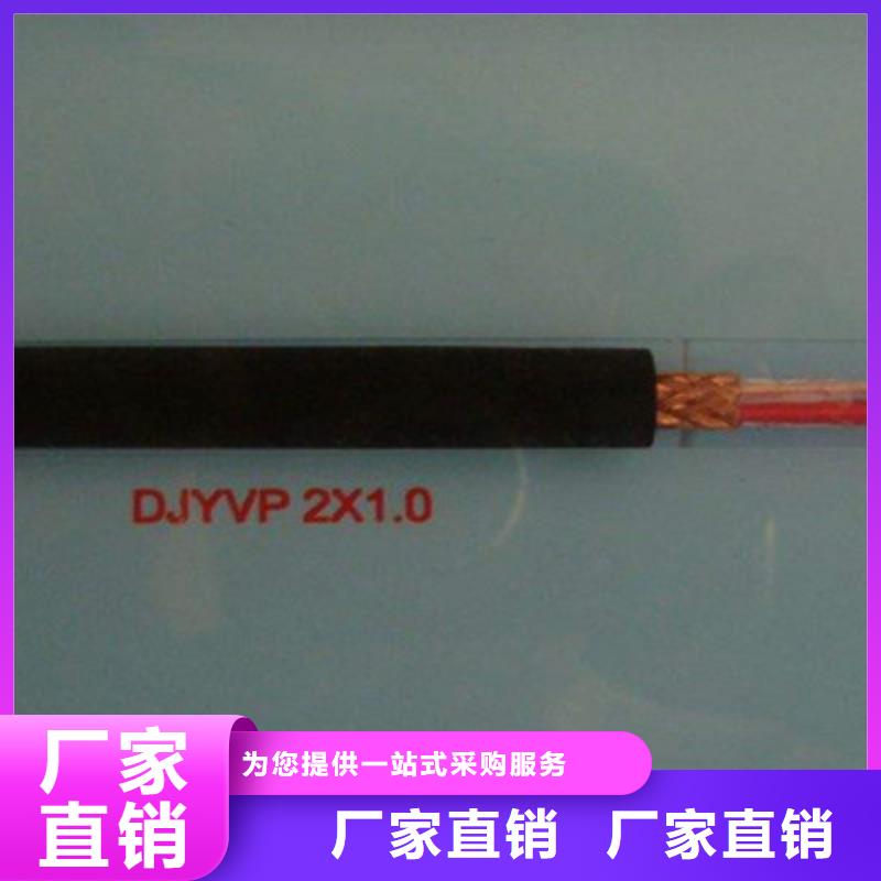 DJYJP3V铠装计算机电缆30X2X1.5
