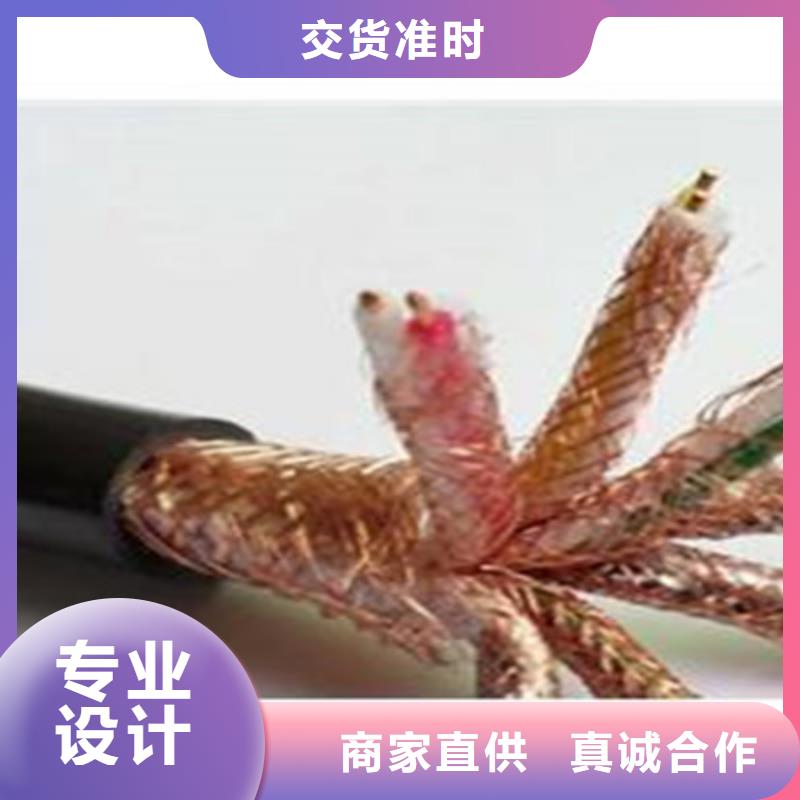 有现货的低烟无卤计算机电缆WDZ-DJYPVPR基地