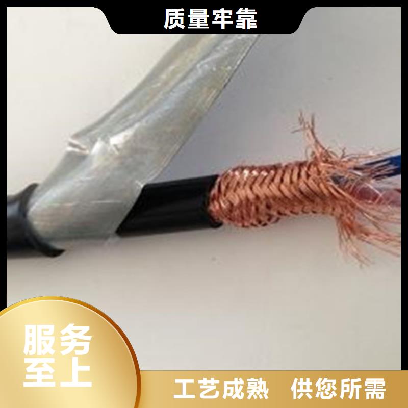 【计算机电缆】-通信电缆闪电发货