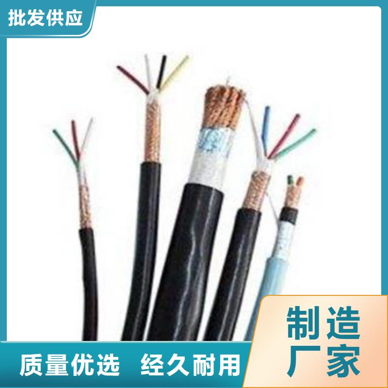 NH-RYSPVP耐火计算机电缆品质高效