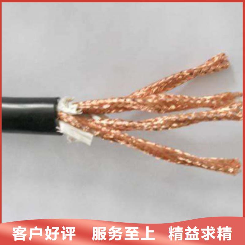 计算机屏蔽电缆KJCRP 12X2X2.5