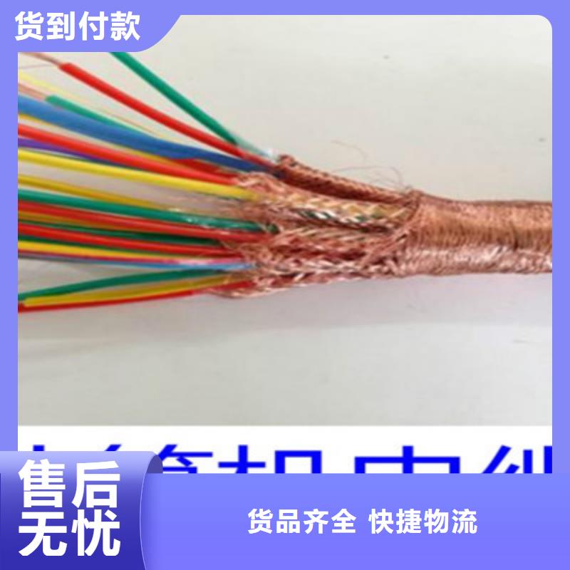 【计算机电缆】-通信电缆闪电发货