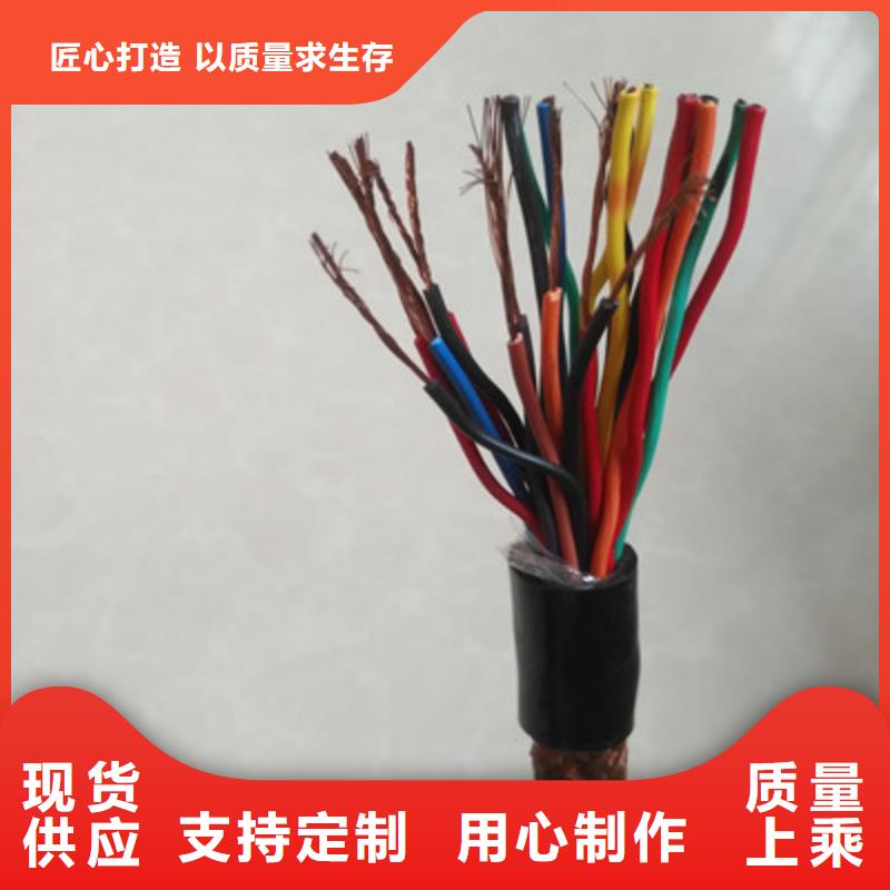耐火计算机电缆NH-DJYPVP8X2X1.0
