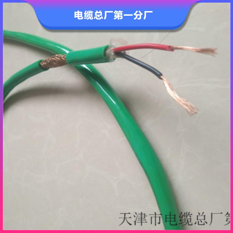 计算机屏蔽电缆KJCRP 12X2X2.5