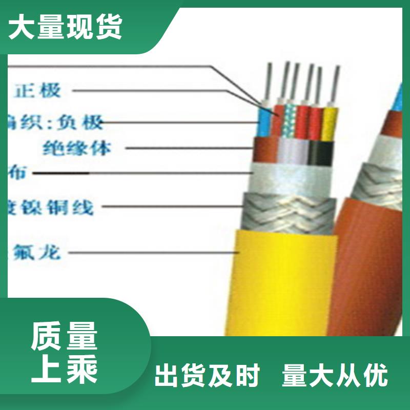 耐火计算机电缆NH-DJYJP2VR14X2X1.0