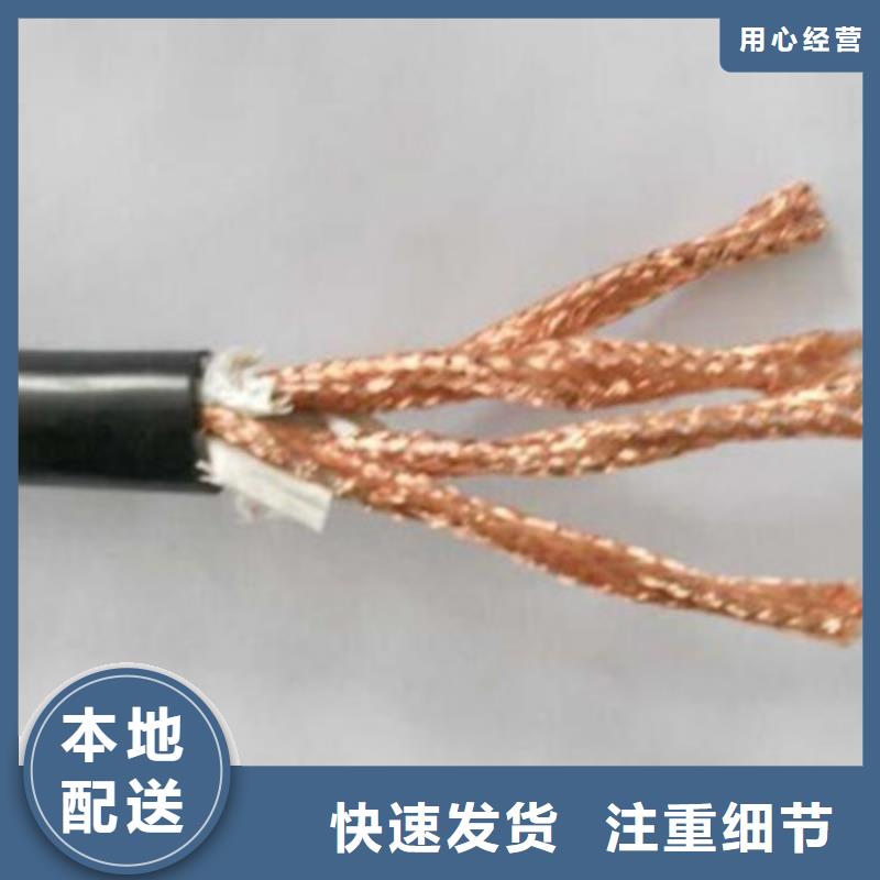 阻燃计算机电缆ZR-DJYJVP23X1.0