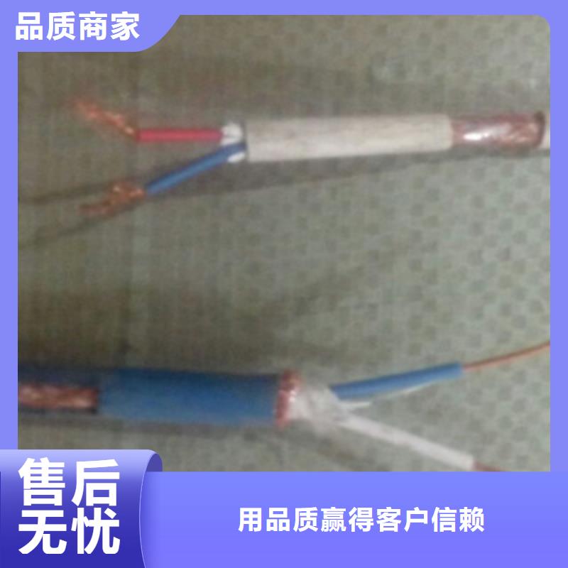 【计算机电缆】-通信电缆闪电发货