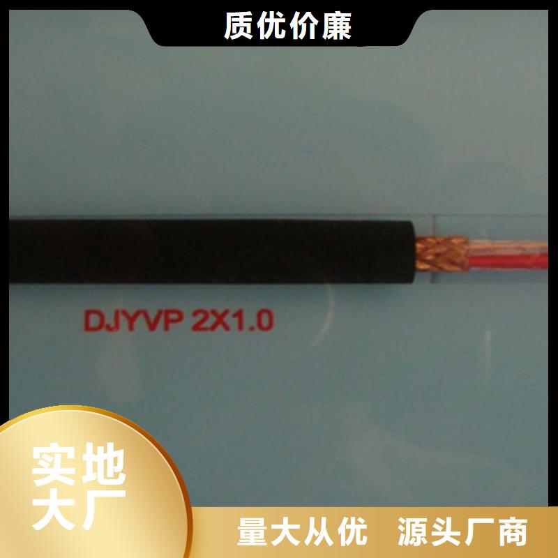 DJFP3FP计算机屏蔽电缆厂家量身定制