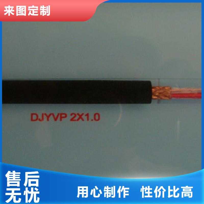 DJYJP3V铠装计算机电缆30X2X1.0