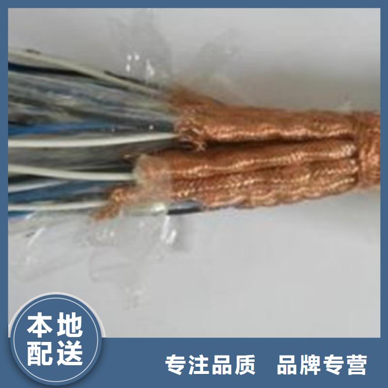 耐高温电缆【电缆生产厂家】准时交付