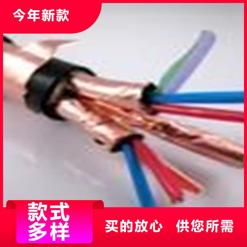 耐高温电缆【屏蔽电缆】专业生产品质保证