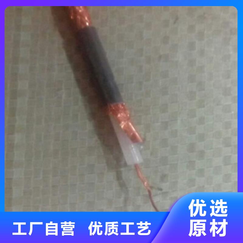 靠谱的影音器材连接电线SYV生产厂家