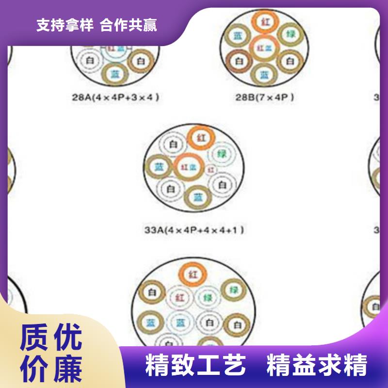 PZYA22铁路信号电缆-正规厂家