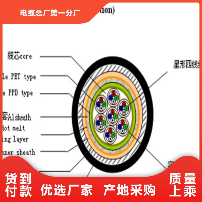 销售铁路信号线缆PVV22的厂家