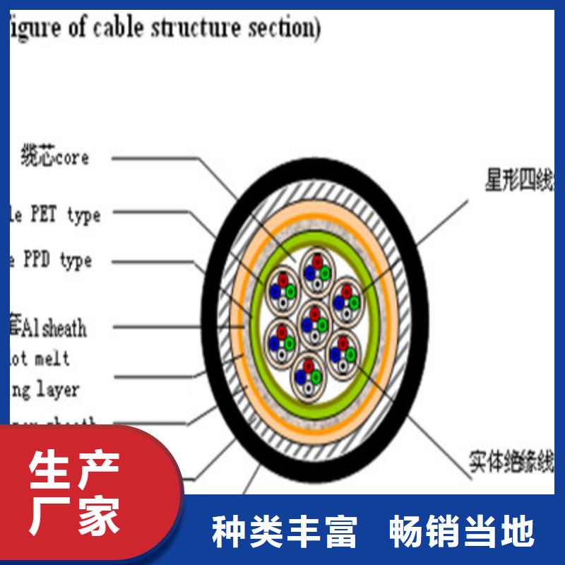 WDZ-PTY23铠装铁路信号电缆质量优