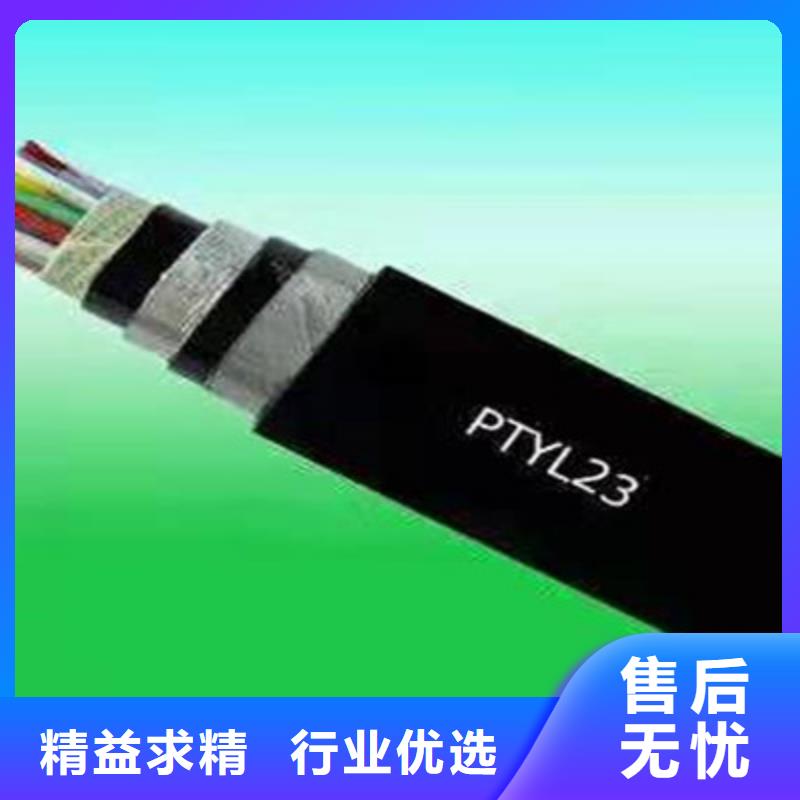 销售铁路信号线缆PVV22的厂家