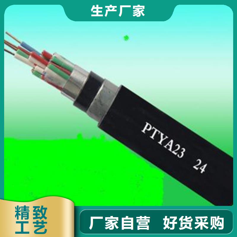 ptyl23铁路信号电缆_可定制