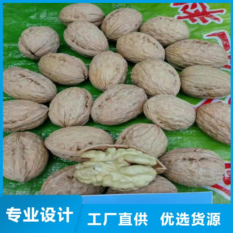 核桃苗【红蜜桃树苗】规格型号全