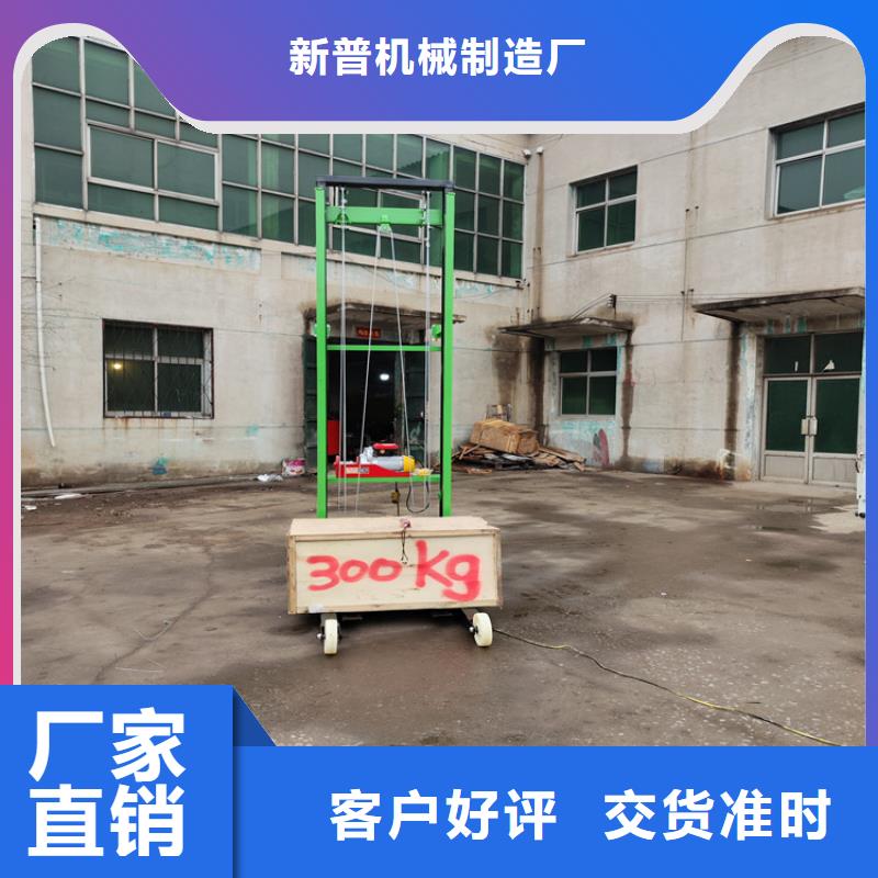 仙城镇工地上用的提升机来样定制