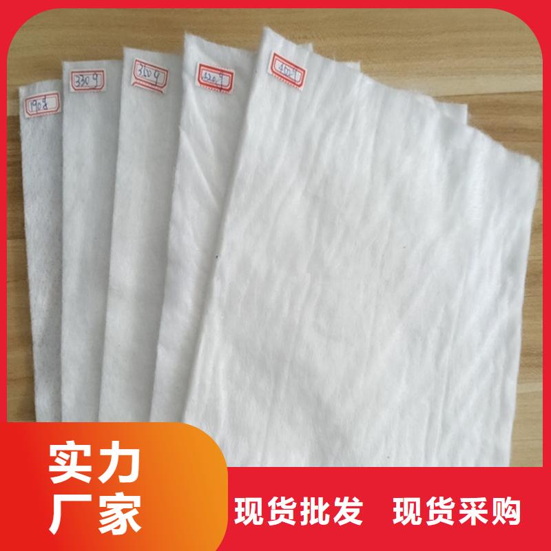 土工布聚丙烯土工布拥有核心技术优势