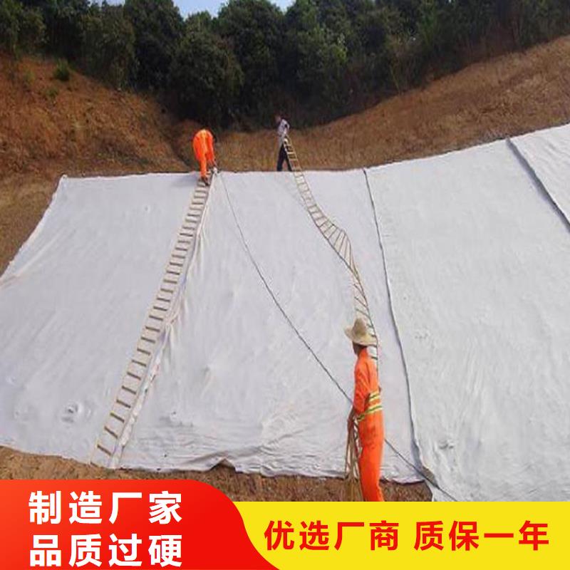 土工布聚丙烯土工布拥有核心技术优势