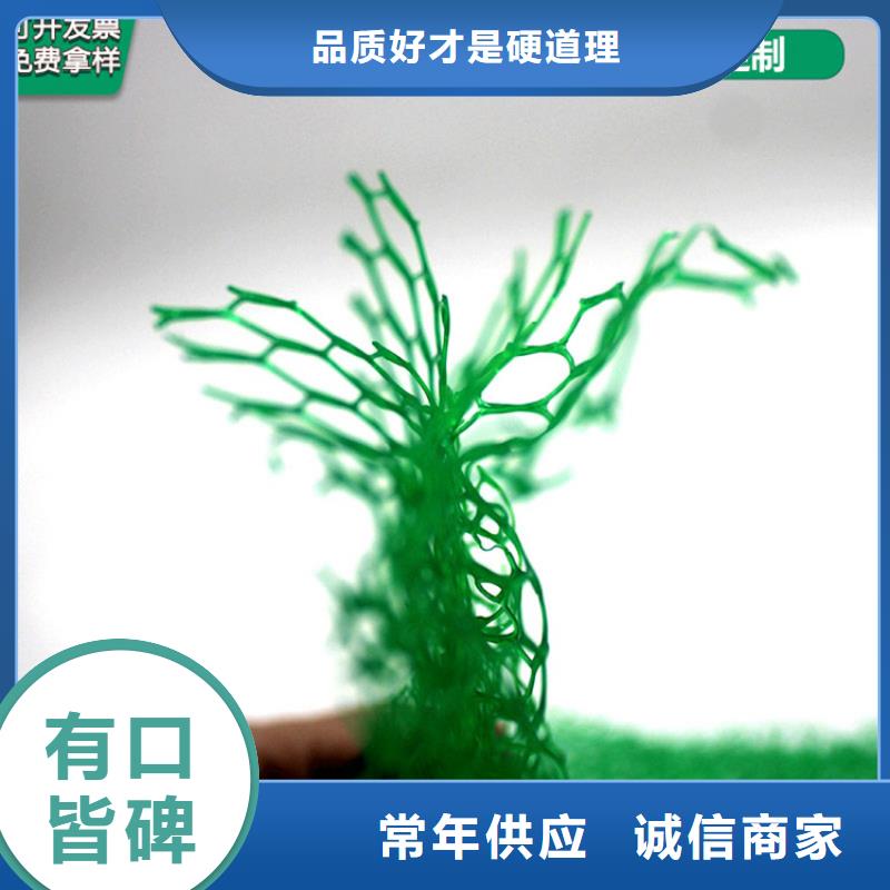 三维植被网 【植草格】高品质现货销售