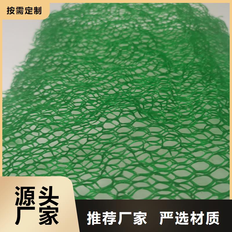 三维植被网三维土工网货源稳定