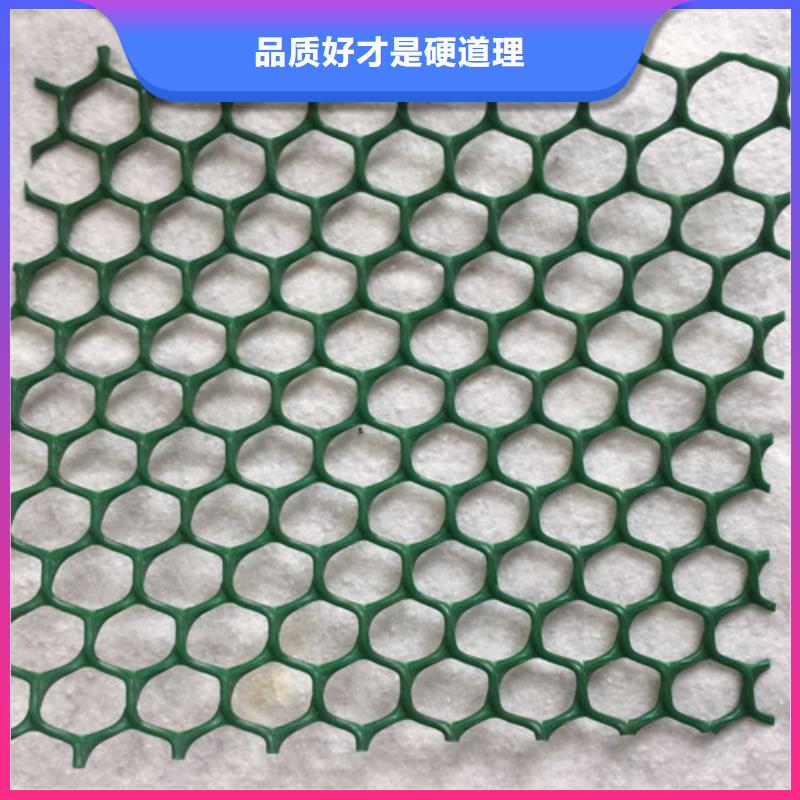 三维植被网三维土工网货源稳定