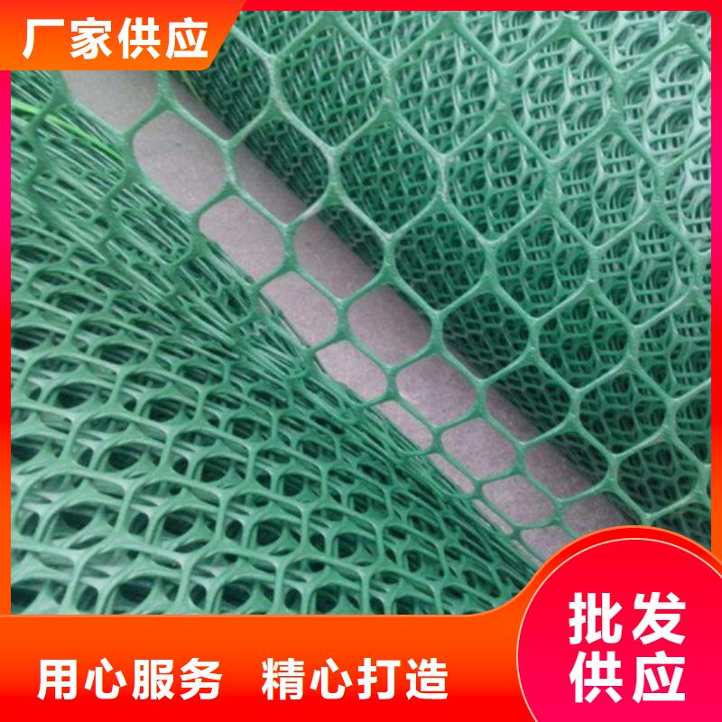 三维植被网通风降噪丝网追求细节品质