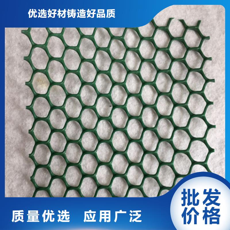 三维植被网三维土工网市场行情