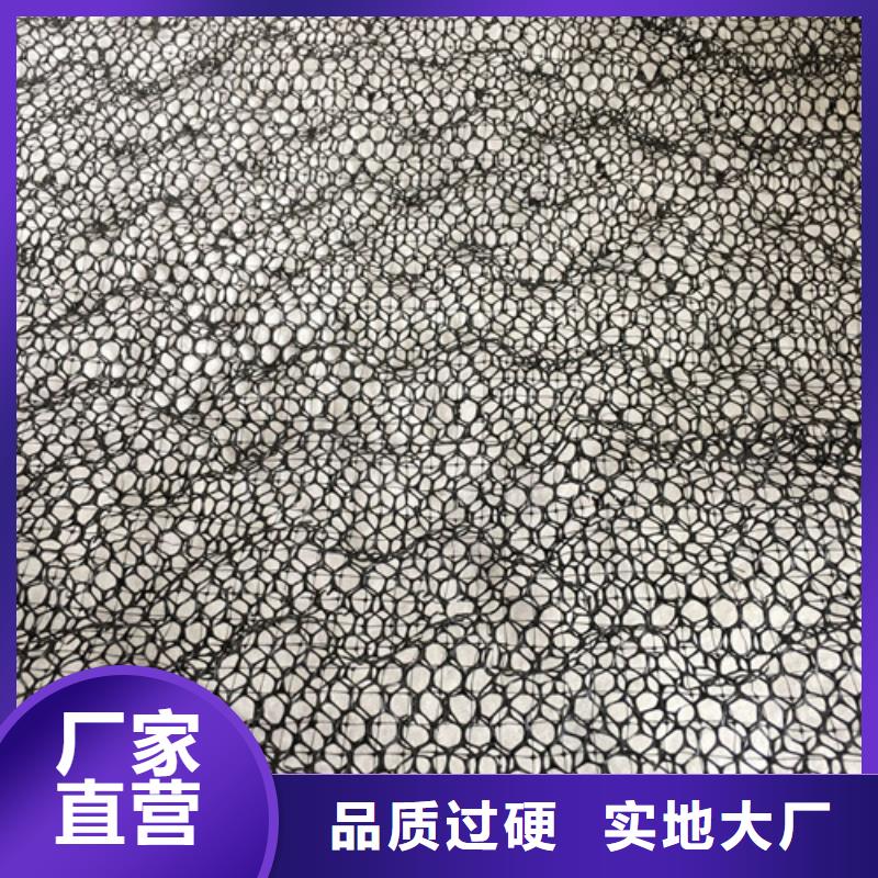 三维植被网 【植草格】高品质现货销售