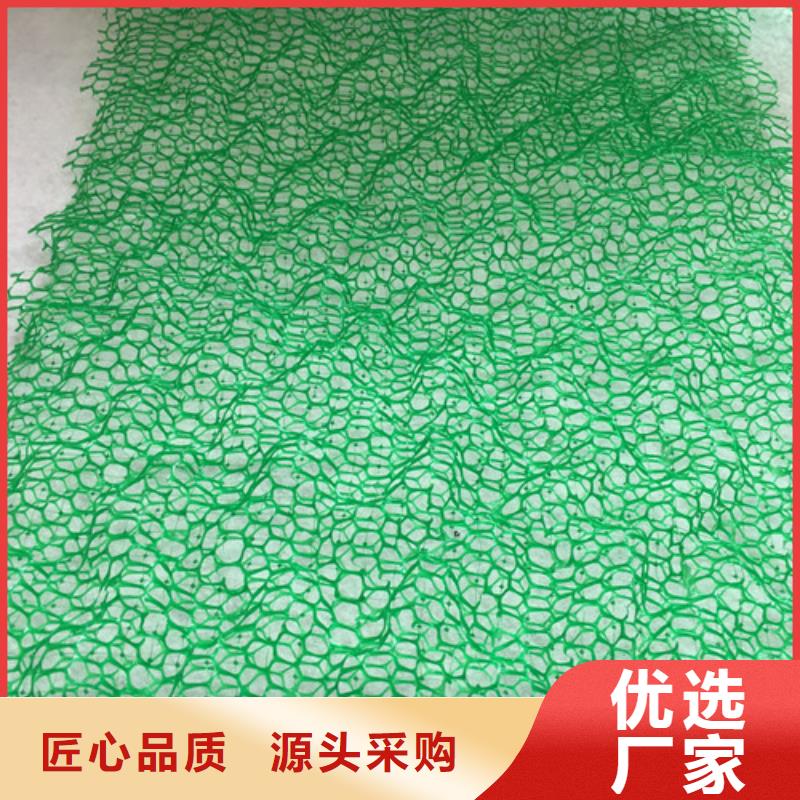 三维植被网三维植被网的图文介绍