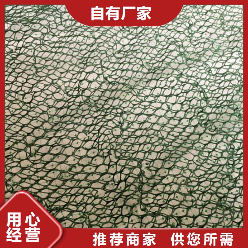 三维植被网 【植草格】高品质现货销售