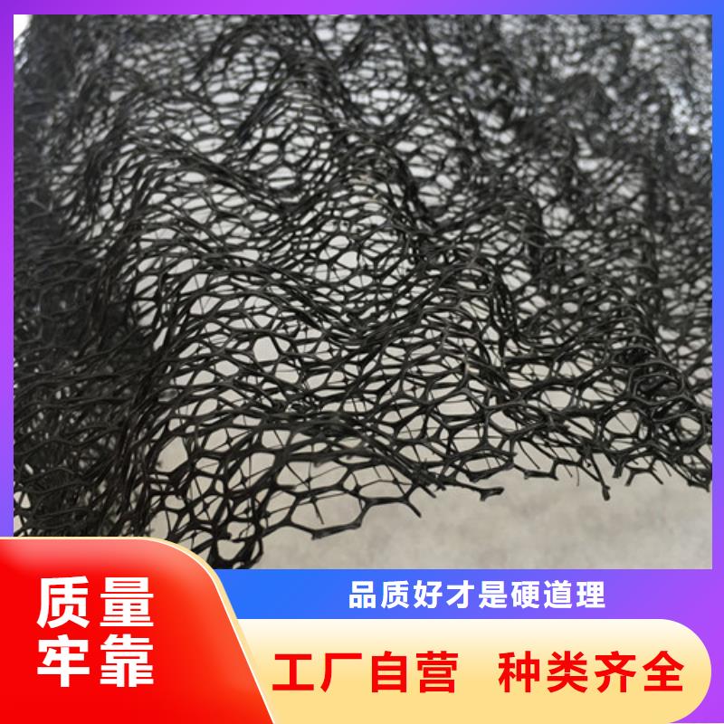 三维植被网通风降噪丝网追求细节品质